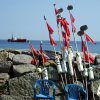 Tour 7: Kap Arkona